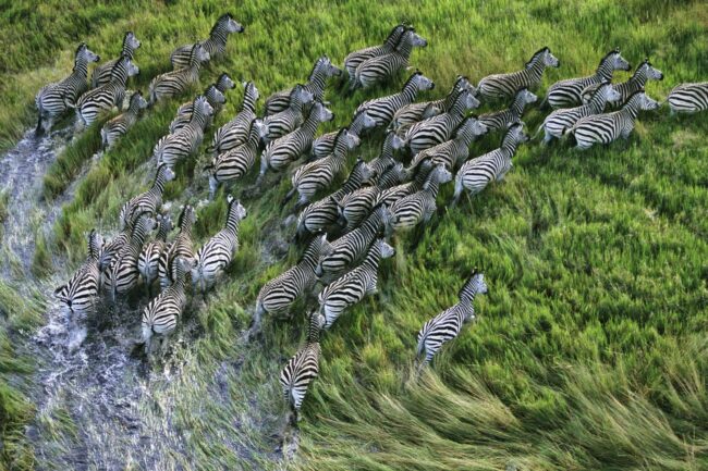 Best aerial shot at Botswana