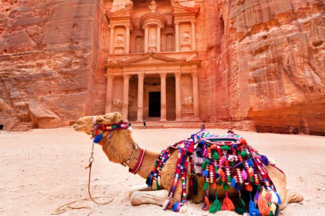 Bedouin camel rests near the treasury Al Khazneh carved into the rock at Petra, Jordan