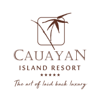 Cauayan png logo
