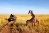 African Quest Safaris